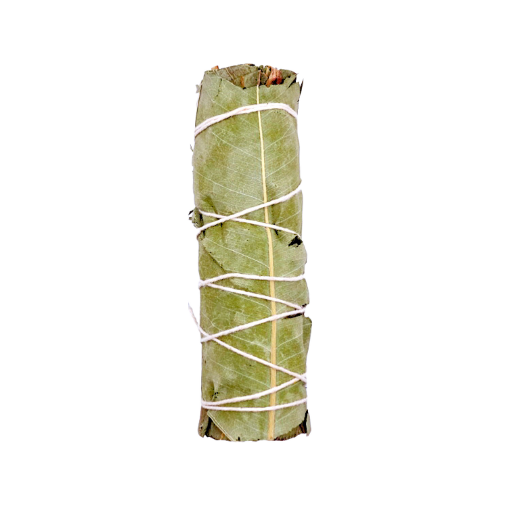 eucalyptus and white sage smudge stick