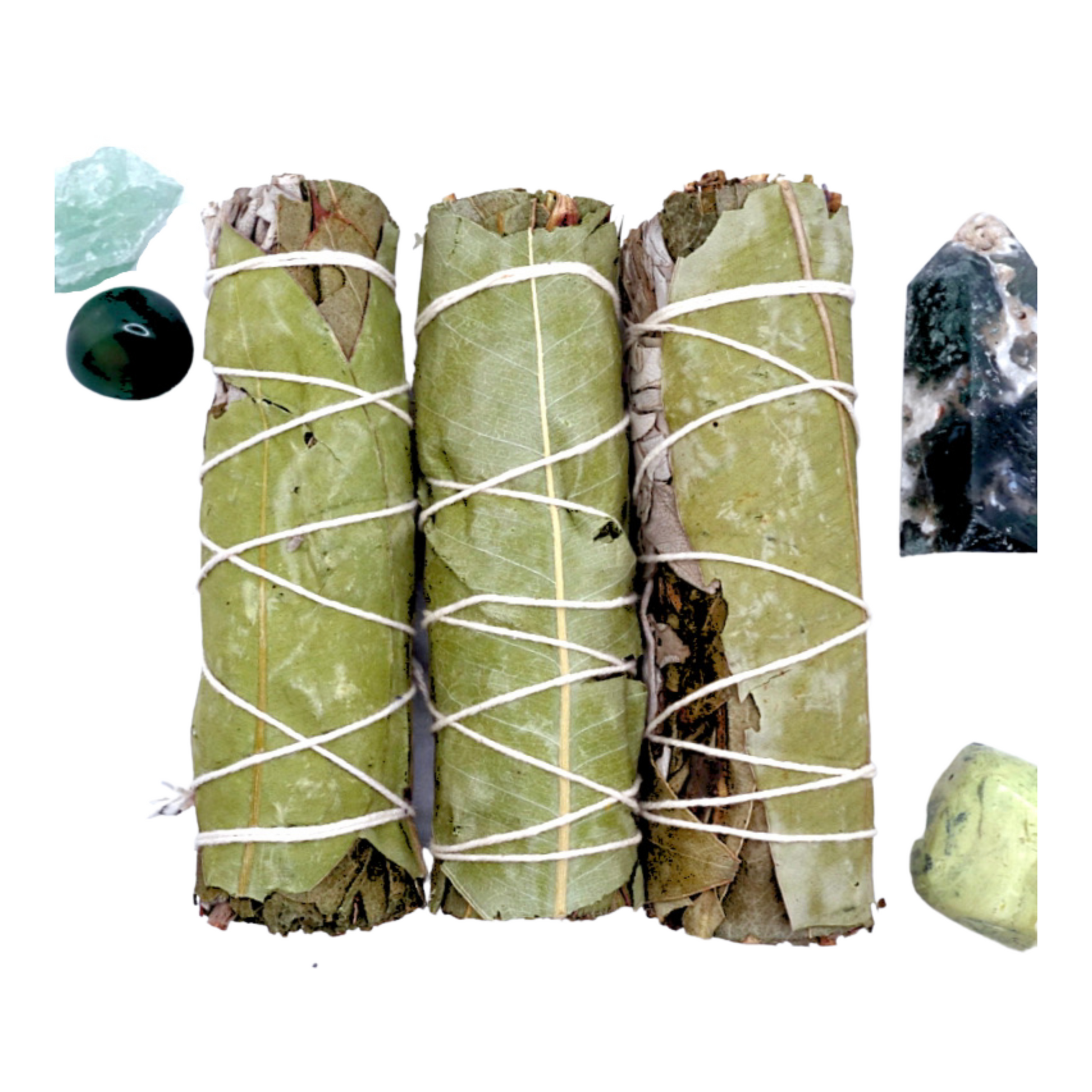 eucalyptus and white sage smudge stick